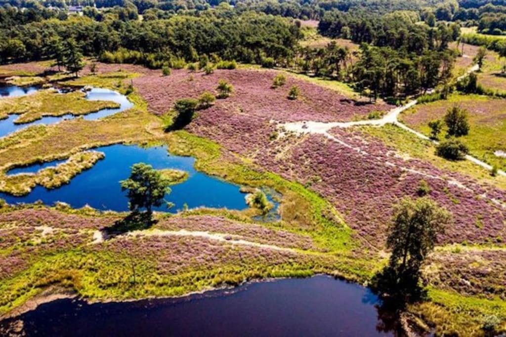 Villa June Rosy Wijchen Dış mekan fotoğraf