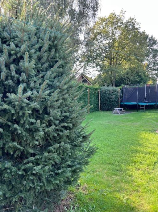 Villa June Rosy Wijchen Dış mekan fotoğraf